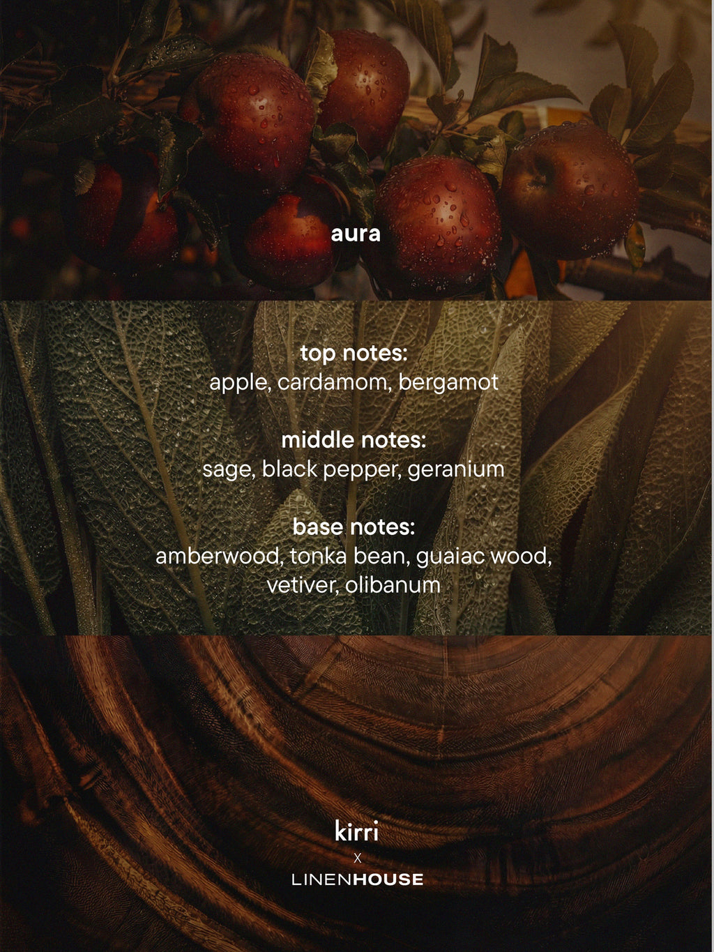 Aura Reed Diffuser 200ml
