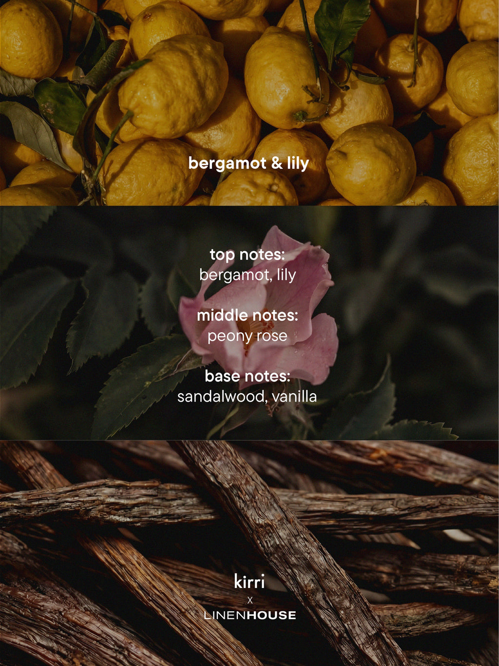Bergamot-Lily Diffuser Micro Oil 15ml