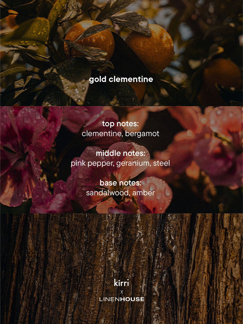 Gold Clementine Diffuser Micro Oil 15ml
