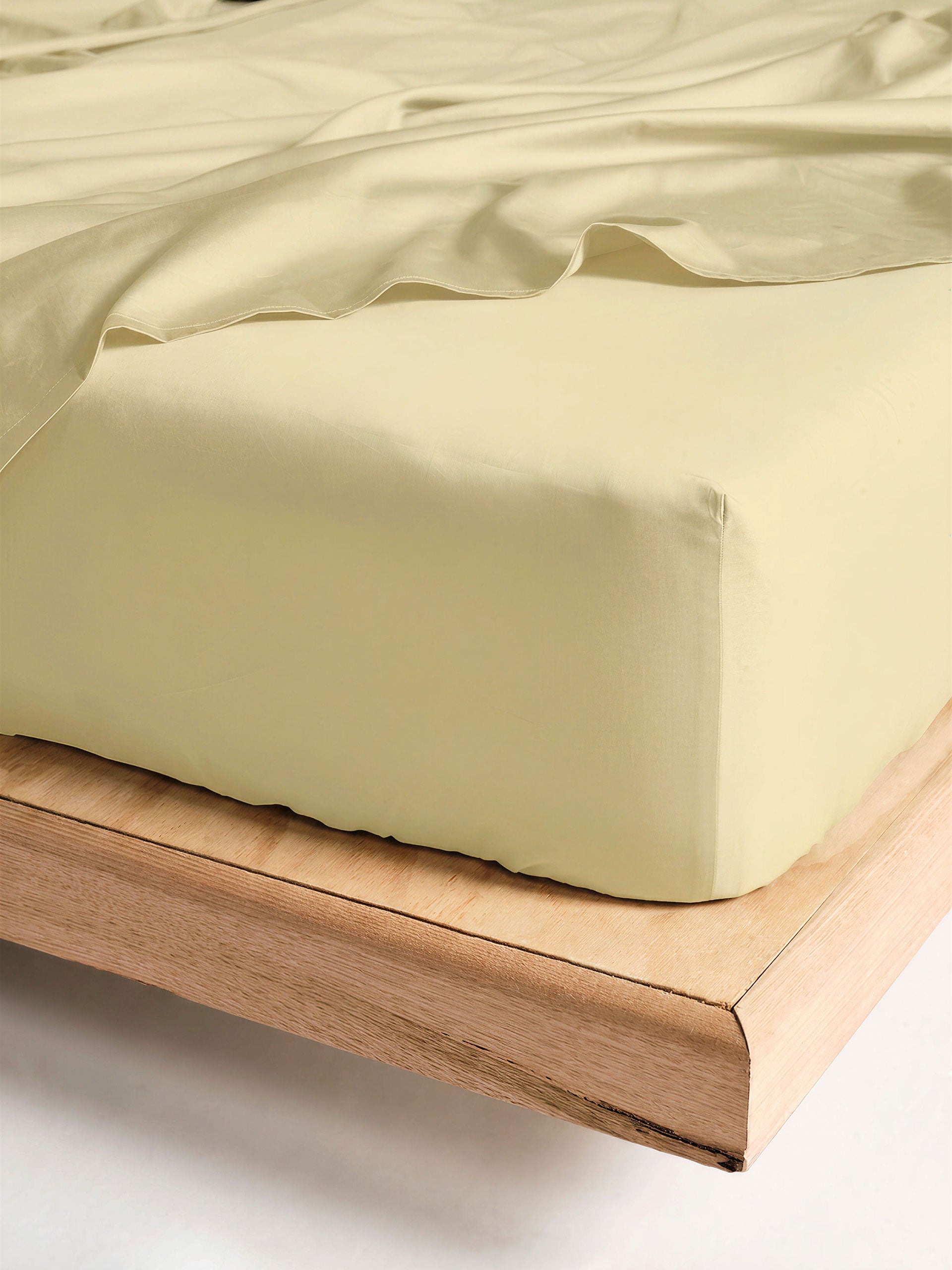 Winton Butter Fitted Sheet 50cm