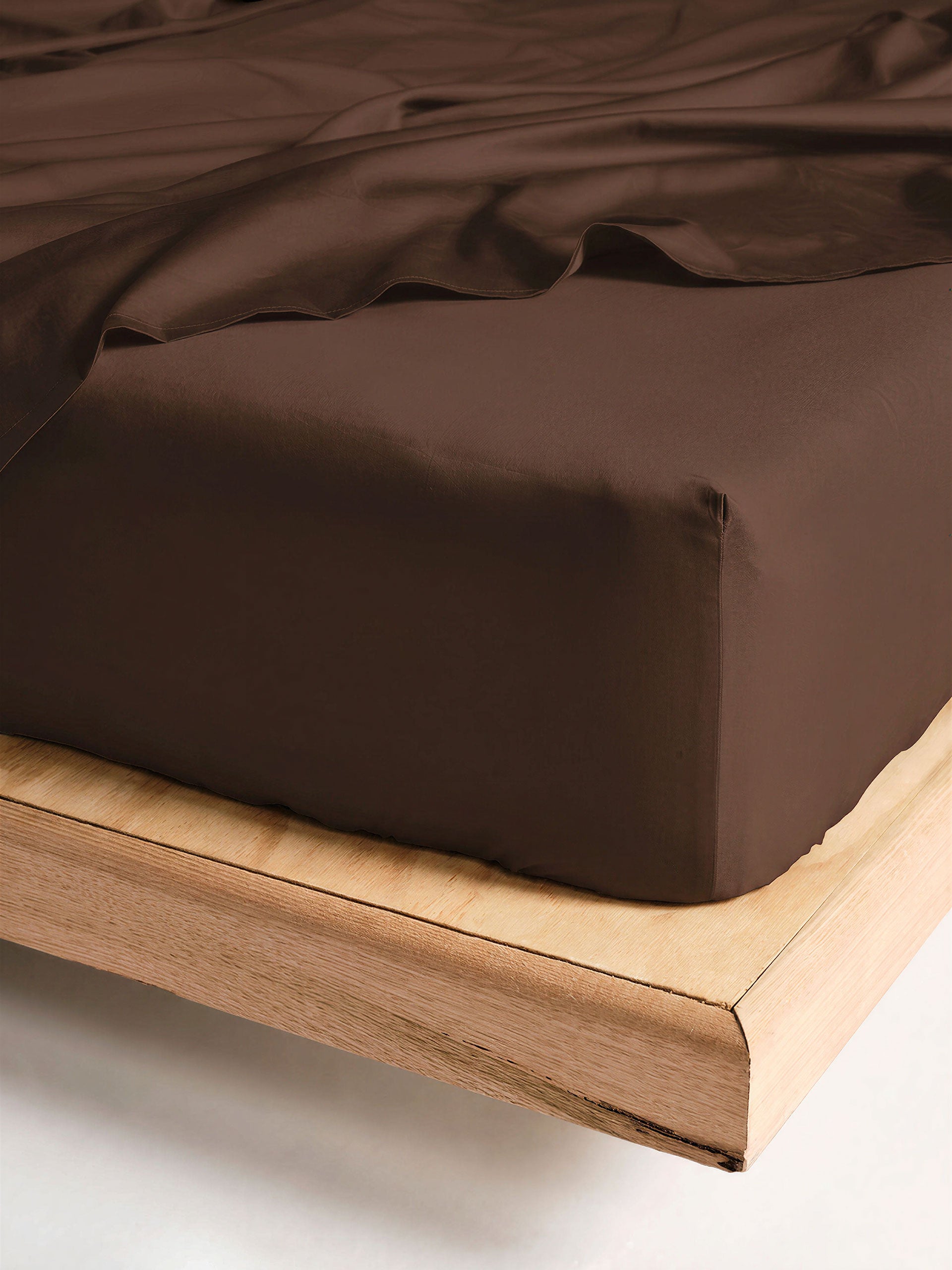 Winton Chocolate Fitted Sheet 50cm