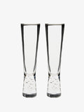 Willie 2-Piece Champagne Flute Set