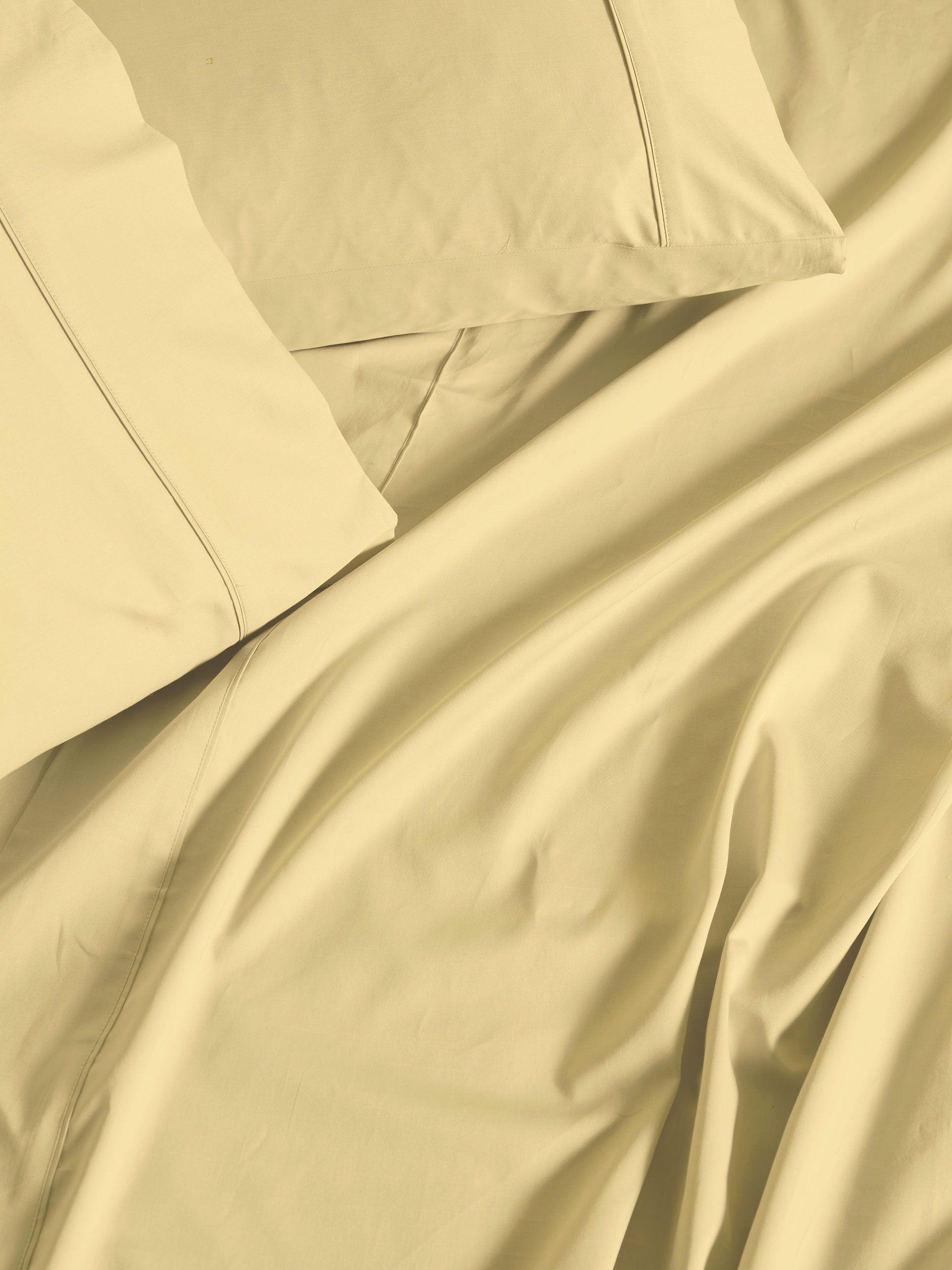 Augusta Daffodil Standard Pillowcase
