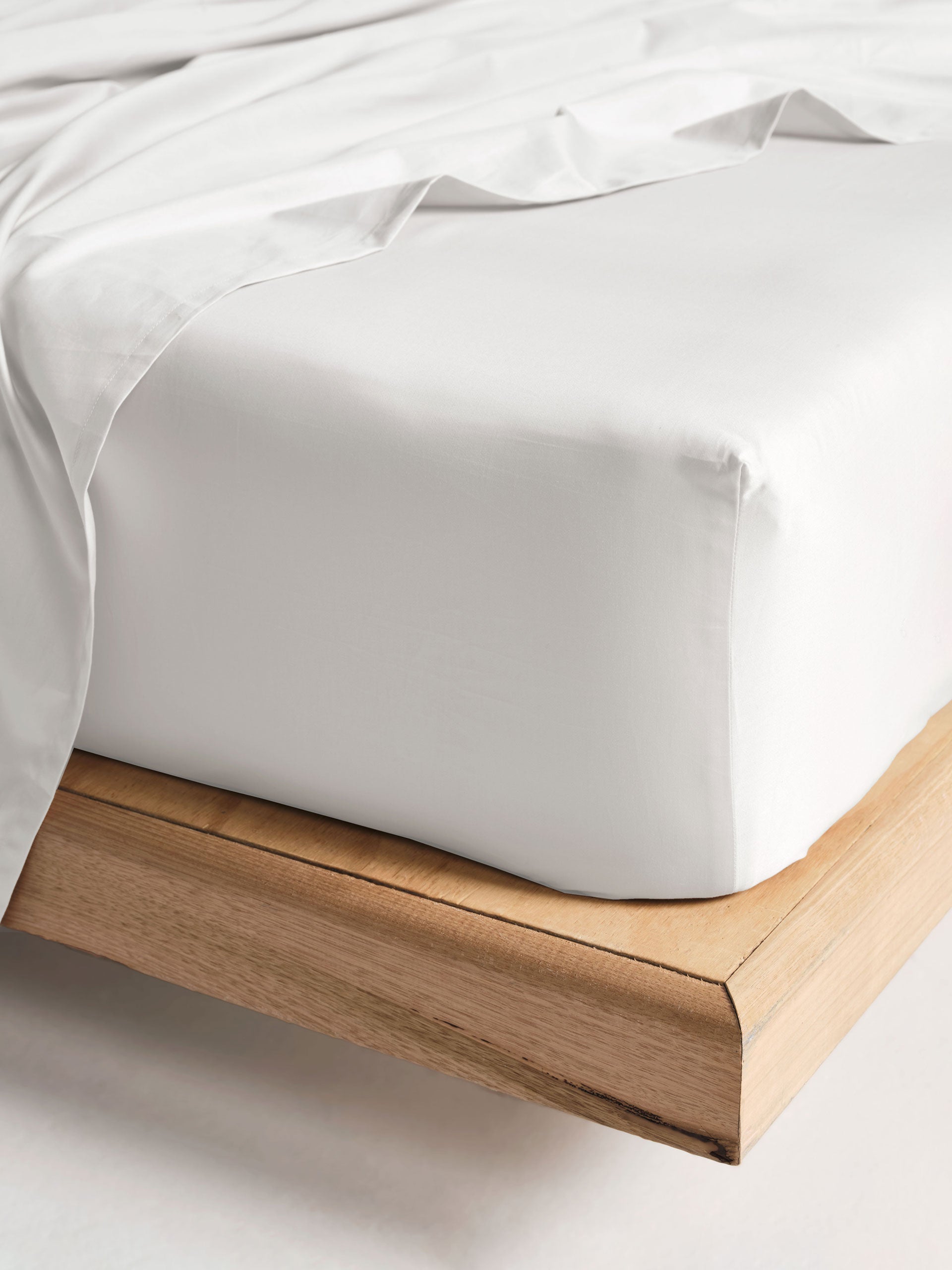 Augusta White Fitted Sheet 60cm