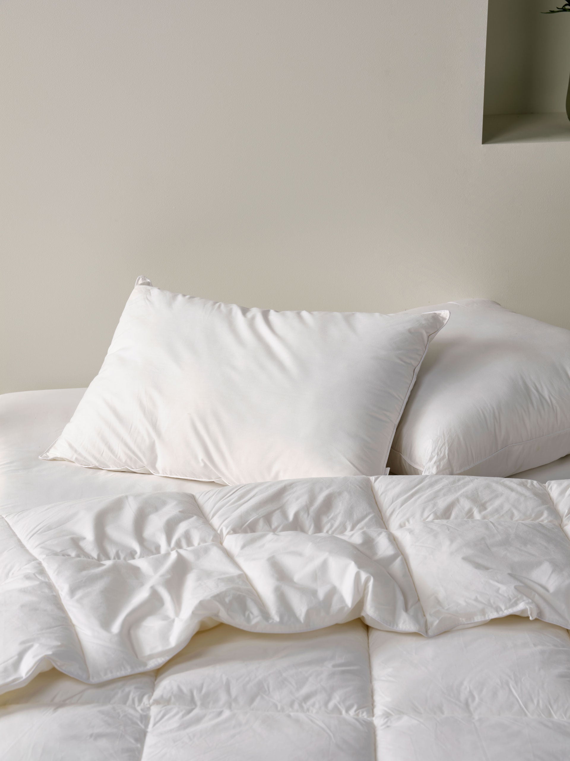 All-Seasons Queen Pillow