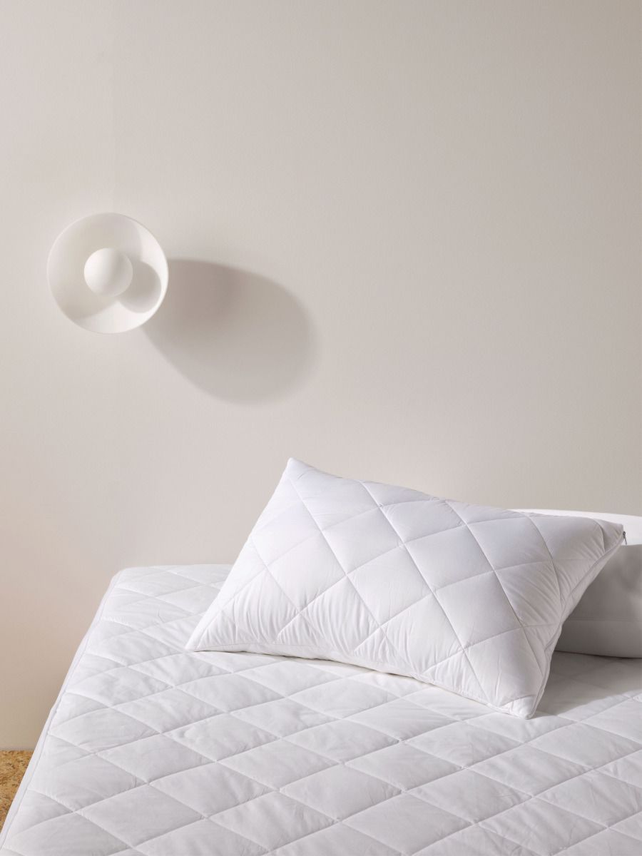 All-Seasons Queen Pillow Protector