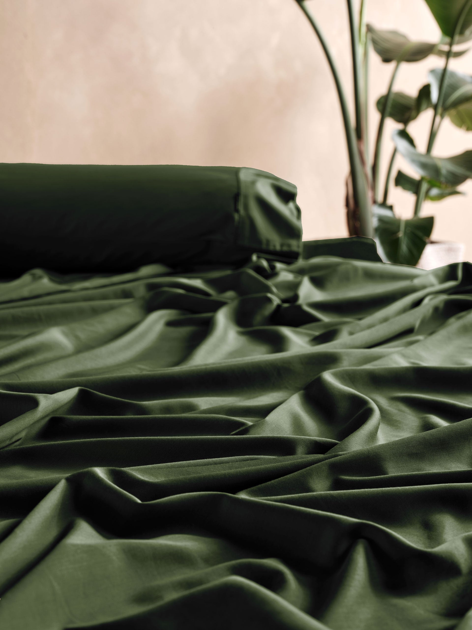 Haven Pine Sheet Set