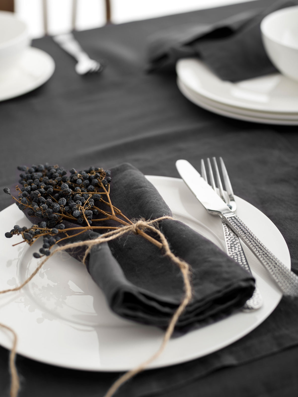 Nimes Magnet 4-Piece Napkin Set