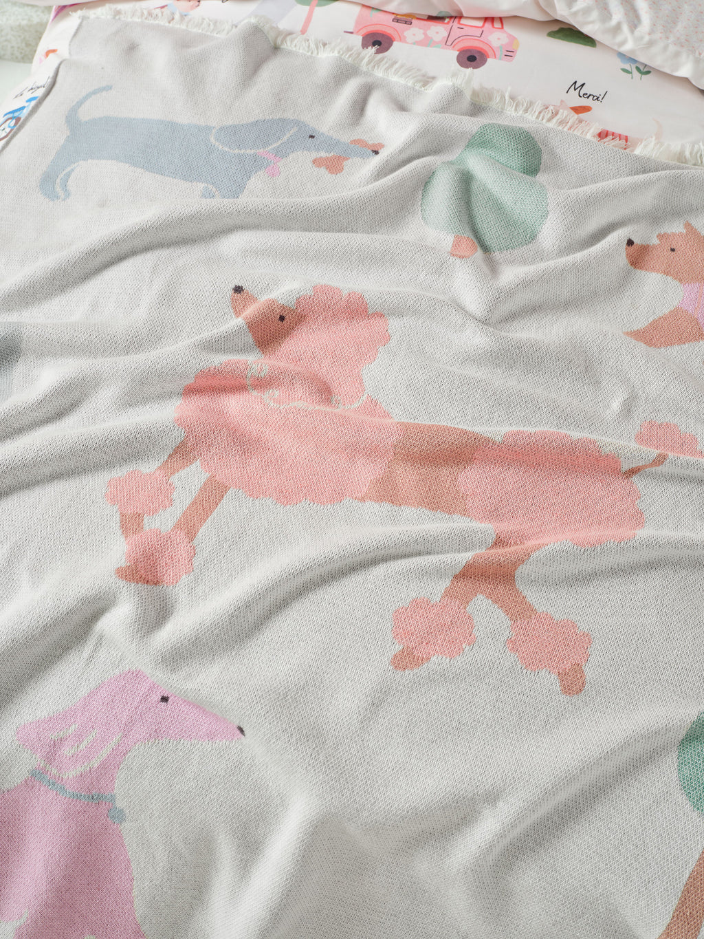Petite Paris Blanket