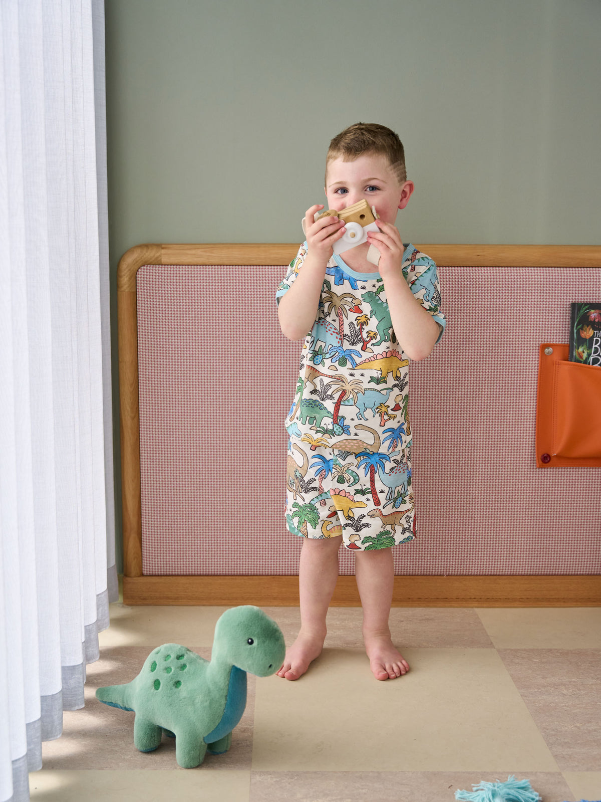 Bruce Brontosaurus Novelty Cushion
