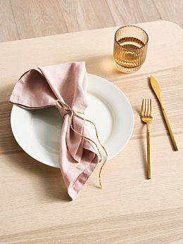 Nimes Rose 4-Piece Napkin Set