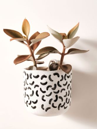 Paterna Black Crescent Planter Pot 15cm