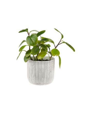 Taupin Planter Pot 16.5cm