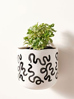 Paterna Black Squiggle Planter Pot 15cm