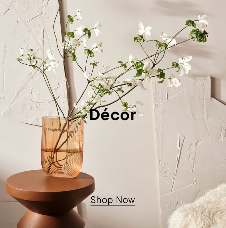 Shop Decor