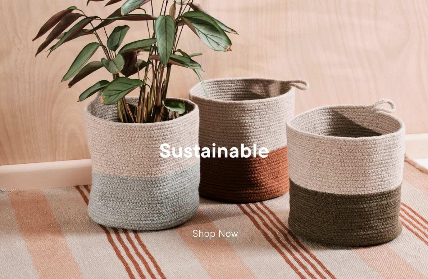 Shop Sustainable